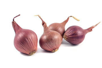 Onions isolated on white background