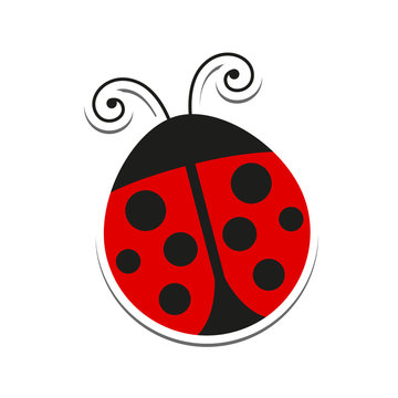 Vector Illustration of a Ladybug