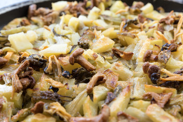 Mushrooms with roasted potatoes