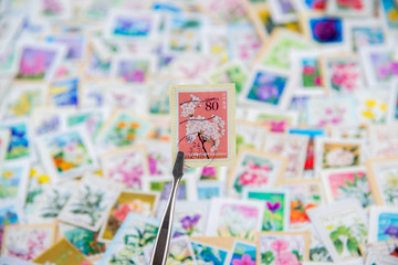 A stamp printed in Japan shows various flowers collection