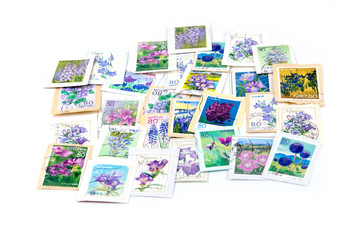 Fototapeta na wymiar A stamp printed in Japan shows violet flower collection.