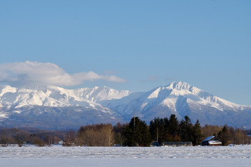 Obraz premium 冬の富良野岳 