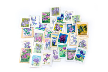 Fototapeta na wymiar A stamp printed in Japan shows violet flower collection.