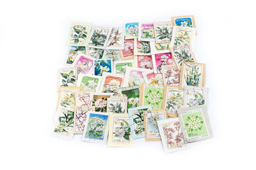 Fototapeta na wymiar A stamp printed in Japan shows white flower collection.