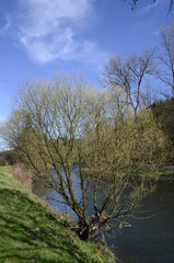 Idyllische Flusslandschaft im Frühling