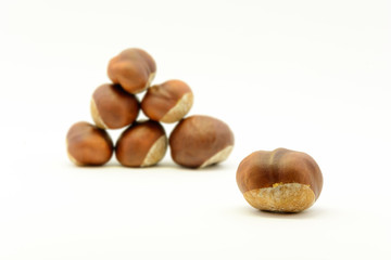 Closeup chestnuts isolated on white background. Fresh autumn chestnut. Sweet natural fruit the chestnut tree. Sign of autumn. Autumn decoration from chestnuts.