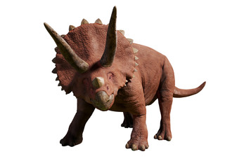 Fototapeta premium Triceratops horridus of the late Cretaceous period between 66 and 68 million years ago