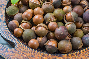 Macadamia nuts harvest close up