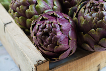 Fototapeta premium Fresh big Romanesco artichokes green-purple flower heads ready to cook