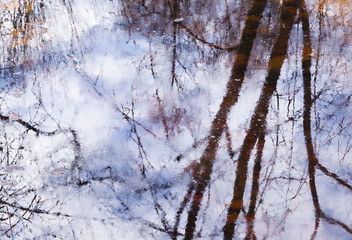 Beautiful reflection of tree branches in the water in early spring in the park. Watercolor abstract background in lilac-blue tones.