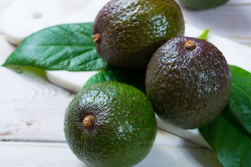 Green ripe avocado from organic avocado plantation - healthy food