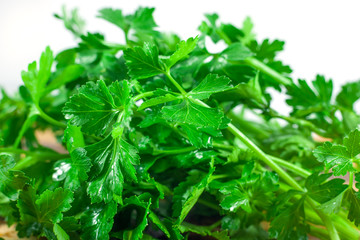 Fresh green parsley isolated on white background, food ingredient