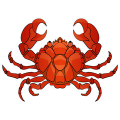 Vector hand drawn cartoon crab character