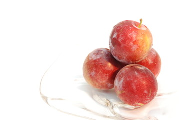 plum004