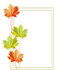 autumn leaves isolated on white background.