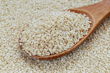 sesame seed in spoon