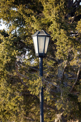 Naklejka premium Street lamp