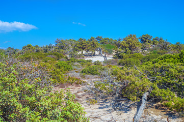 Fototapeta na wymiar Chrisi (Chrysi) island landscape