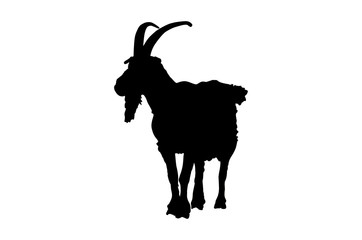 the figure of the black goat isolated on white background