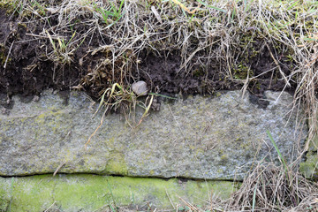 Erdschichten aus Steinen, Erde und Gras