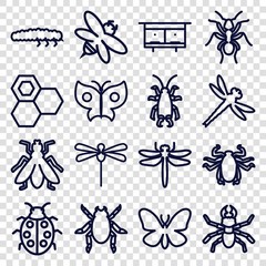 Set of 16 insect outline icons