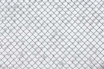 The white background is a snow-covered lattice.
