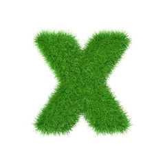Grass letter X isolated on white, 3d illustration.