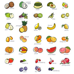 Icon set of fruits hand drawn style