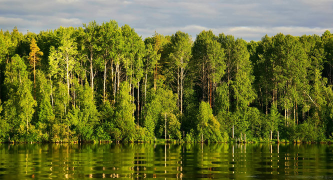 green trees on the riverbank with reflection and waves