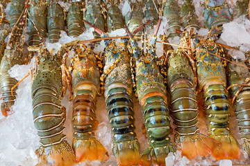 Lobster and seafood on ice
