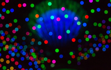 abstract blur neon lights, circle soft bokeh neon lam