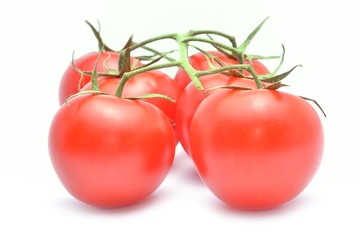 tomato isolated on white background
