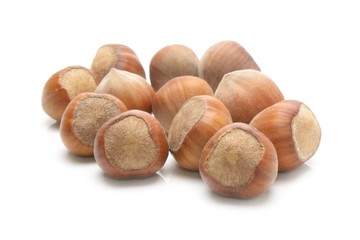 Hazelnuts. isolated on a white background