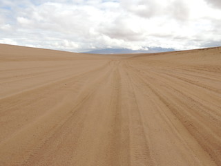 Camino