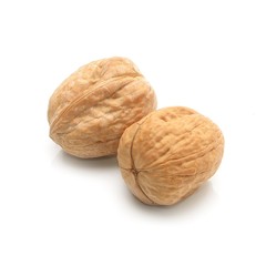 Walnuts on a white background