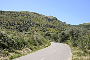 Country road in Landscape at Arta, Mallorca, Balearic Islands, Spain, Europe