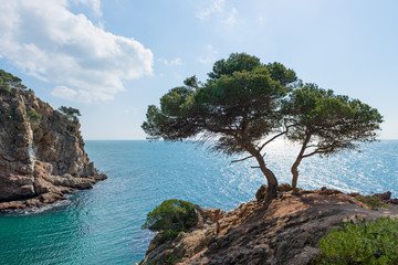Coast Brave (Costa Brava) - Girona (Spain)