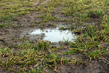 Pfütze auf Feld