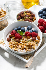 homemade muesli with yogurt and berries for breakfast, vertical