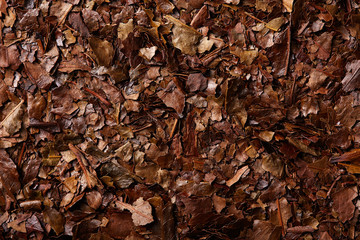 kukicha tea macro detail texture