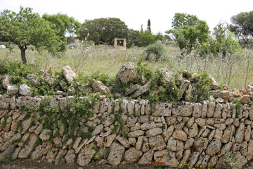 Fototapeta na wymiar Landscape near Manacor, Mallorca, Balearic Islands, Spain, Europe