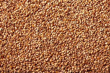 Sesame seeds texture macro detail