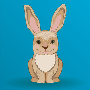 Cartoon rabbit charackter