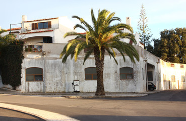 Fototapeta na wymiar Tankstelle unter Palmen in Albufeira, Portugal