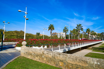 Naklejka premium Valencia Puente de las Flores flowers bridge
