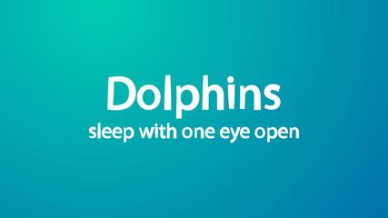 Fototapeta premium Abstract blur background with interesting facts text