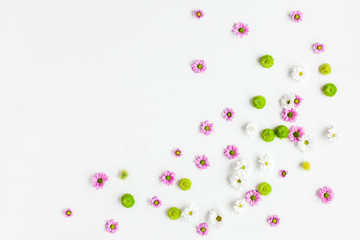 Flowers composition. Frame made of various colorful flowers on white background. Flat lay, top view
