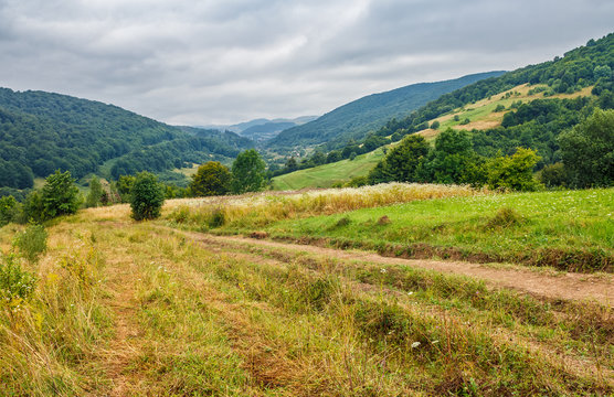 countryside summer landscape with field, forest and mountain ridge