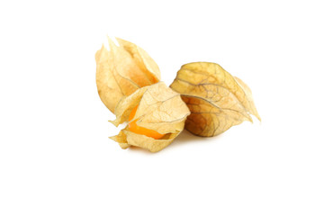 Ripe physalis isolated on a white background
