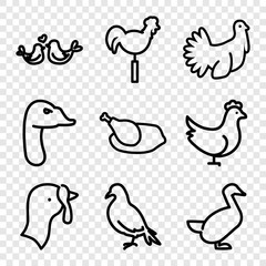 Set of 9 bird outline icons